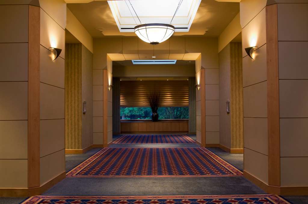 Hotel Hyatt Centric Chicago Ohare Rosemont Wnętrze zdjęcie
